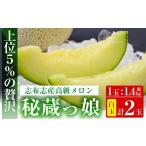 メロン メロン青肉 極上メロン 秘蔵っ娘 白玉