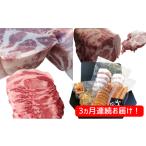 肉 ソーセージ 毎月お届け 富士金華 豚肉 味わいセット