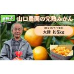 果物類 みかん 山口農園の完熟みかん大津