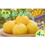 ふるさと納税 果物類 みかん 佐賀県 太良町 新宮みかん園 はるか 4kg 2026年2月上旬〜6月上旬発送予定 フルーツ 果物 柑橘 国産 日向夏 新宮みかん園 佐賀県 …