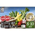 野菜類 野菜 定期便 6回 8~10品目 野菜ソムリエ厳選