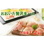 ふるさと納税 肉 ハム 大分県 国東市 おおいたの贅沢生ハムを大容量の1.2kg?_0245N