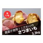 野菜類 サツマイモ 産サツマイモ うやま農園のさつまいも 3…