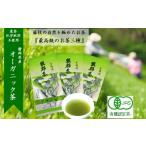 お茶類 緑茶 茶葉 ティーバッグ 岡部茶 早摘みのぜい沢