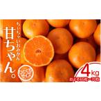 ふるさと納税 果物類 みかん 和歌山県 田辺市 2025年先行予約 ちぃちゃいおみかん『甘ちゃん。』 小玉みかん 4kg(約65〜70個) 2025年12月上旬〜下旬頃に順…