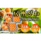 ふるさと納税 果物類 びわ 千葉県 鋸南町  2026年度先行予約 房州びわ 24玉（3Lサイズ12玉と2Lサイズ12玉） ／ ビワ 枇杷 大玉 産地直送 千葉県 特産 フルーツ…
