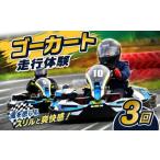 体験チケット ゴーカート 体験 3回 大人 子供