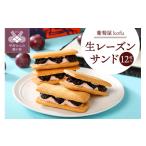 焼菓子 チョコレート クッキー 葡萄屋kofu