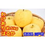 ふるさと納税 りんご 青森県 三戸町 訳あり 高級りんご はるか 約5kg(12〜20玉) 2025年産・先行予約 2025年12月上旬〜2026年1月上旬頃まで発送予定 青森県…