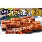 ふるさと納税 うなぎ 宮崎県 日南市 職人 手焼き うなぎ蒲焼 2尾 計260g以上 鰻 魚介類 伝統の味 秘伝のタレ 厳選 国産 ウナギ おかず 食品 加工品 真空パック…