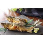 川魚 あゆ 一級河川 江の川の恵み 生粋鮎 0.8kg