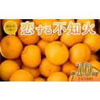 ふるさと納税 みかん・柑橘類 デコポン 熊本県 宇城市 恋する 不知火 約10kg 訳あり品 御舩果樹園 2025年4月上旬から2025年6月下旬発送予定