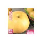 ふるさと納税 梨 鳥取県 大山町 DS-10 あたご梨(5kg)