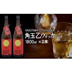 お酒 リキュール 角玉乙ウォッカ1.8L×2本