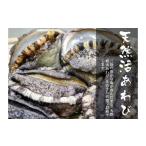 魚貝類 アワビ fc-39-009 三陸産活蝦夷