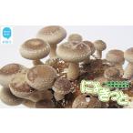 fu.... налог овощи вид .. . Ehime префектура новый .. город еда ........... культивирование + окружающая среда гормон разборка .. эксперимент комплект 