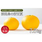 みかん 柑橘類 片山農園の淡路島産新甘夏7.5kg