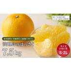 みかん 柑橘類 片山農園の淡路島のはっさく7.5kg