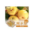 ふるさと納税 梨 山形県 酒田市 酒田産 特選 南水梨 約3kg(5〜9玉入) SA2641