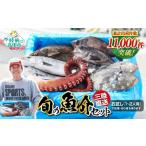 旬の鮮魚等 下処理する 鮮魚セット 鮮魚ボックス