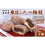 和菓子 春日ふたつ梅枝 餡 あん あんこ 揚げ