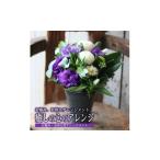 花 お悔やみ お供えアレンジメント 癒しの心のアレンジ