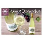 ふるさと納税 ワイン 白ワイン 山梨県 甲府市 山梨県産 ドメーヌQワイン シャルドネ 720ml