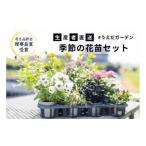 花 季節の花苗 セット 花き品評会理事長賞受賞