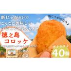 野菜類 じゃがいも 434 新じゃがだけでこんなに美味しい