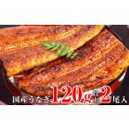 ふるさと納税 うなぎ 和歌山県 有田市 国産うなぎ蒲焼2本セット(120〜149g)(A268-1)