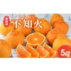 ふるさと納税 果物類 みかん 三重県 御浜町  2026年発送 先行予約品 丸安青果の御浜町産不知火5キロ前後(家庭用） 果物 フルーツ みかん 不知火 しらぬい 5kg …