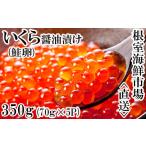 ふるさと納税 北海道 根室市 A-14005 いくら醤油漬け(鮭卵)70g×5P(計350g)