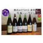 ふるさと納税 ワイン セット 山梨県 甲州市 勝沼ぶどうの丘推奨一升瓶ワイン 6本セット（KBO）H-650