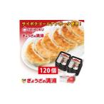 ふるさと納税 餃子 埼玉県 鶴ヶ島市 C001-25 プレミアム冷凍餃子120個(SAIBOKU×ぎょうざの満洲)