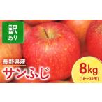 ふるさと納税 りんご 長野県 中野市 長野県産 サンふじ りんご 家庭用 訳あり 8kg(18〜32玉) 1449697