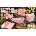 牛肉 ロース 偶数月にお届け 佐賀牛 定期便