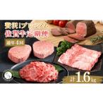 牛肉 ロース ヒレステーキも楽しめる 贅沢な佐賀牛