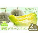 ふるさと納税 メロン メロン青肉 熊本県 菊池市 肥後グリーン メロン 2玉 約3.2kg 七城町特産品センター《5月中旬-6月末頃出荷》熊本県 菊池市 メロン 果物 フ…