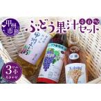 果汁飲料 ぶどう ぶどう果汁セット B-710