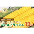 とうもろこし 令和9年発送 産とうもろこし