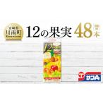 果汁飲料 サンA1日分の12の果実48本セット