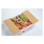 ふるさと納税 果物類 山形県 天童市 08-03-011　季節のフルーツ詰合せ(10月分)約2.5kg