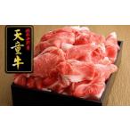 牛肉 セット 08-12-013 天童牛 極
