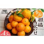 果物の詰合せ みかん 自然塾 季節の柑橘詰合せ 約4.5kg