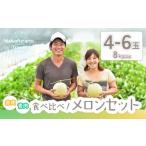 ふるさと納税 北海道 中富良野町 よくばりセット（赤肉&青肉メロン）8kg以上