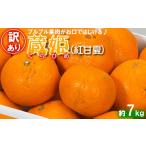 今村農園の蔵姫くらひめ 紅甘夏 約7kg