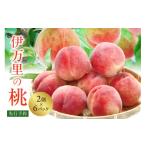 ふるさと納税 もも 佐賀県 伊万里市  先行予約 伊万里の桃 2個×6パック 178-B970