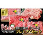 牛肉 焼肉 バーベキュー 冷蔵 年6回お届け定期便