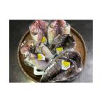 干物 元漁師が作る高級魚干物セット T018-22