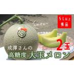 ふるさと納税 メロン メロン青肉 山形県 三川町 令和7年産 成澤さんの厳選 2玉入 高糖度大玉メロン 令和7年7月中下旬より発送開始予定